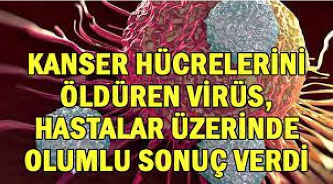 K﻿anser hücrelerini öldüren virüs hastalar üzerinde olumlu sonuç verdi