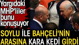 Soylu ile Bahçelinin arasına kara kedi girdi. Yargıdaki MHPliler bunu konuşuyor. Barış Pehlivan açıkladı