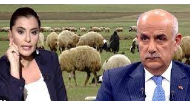 HKP'den Hande Fırat ve Bakan Vahit Kirişci hakkında suç duyurusu