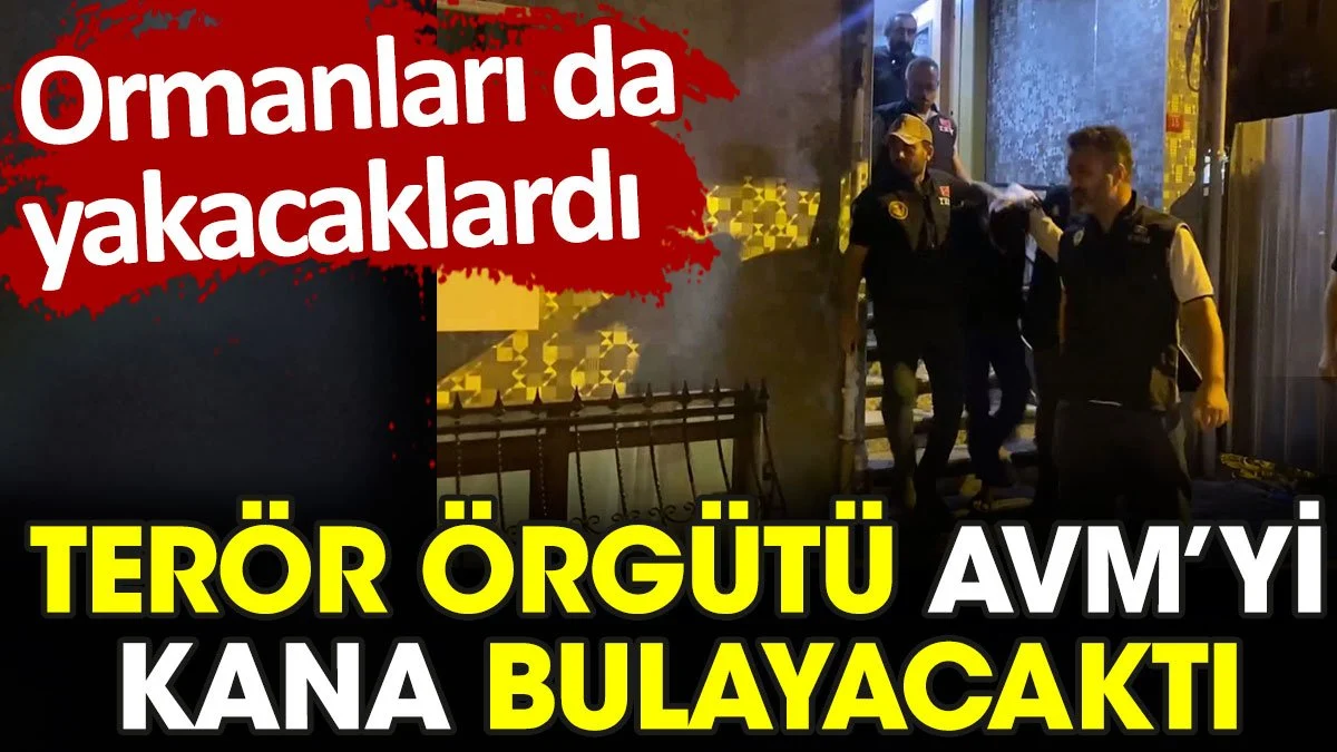 Terör örgütü İstanbul'da bir AVM'yi kana bulayacaktı