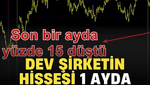 Türkiye'nin en iyi şirketinin hissesi 1 ayda yüzde 15 düştü