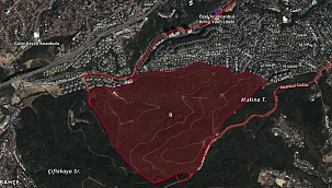 Beykoz'un ciğerleri imara açıldı